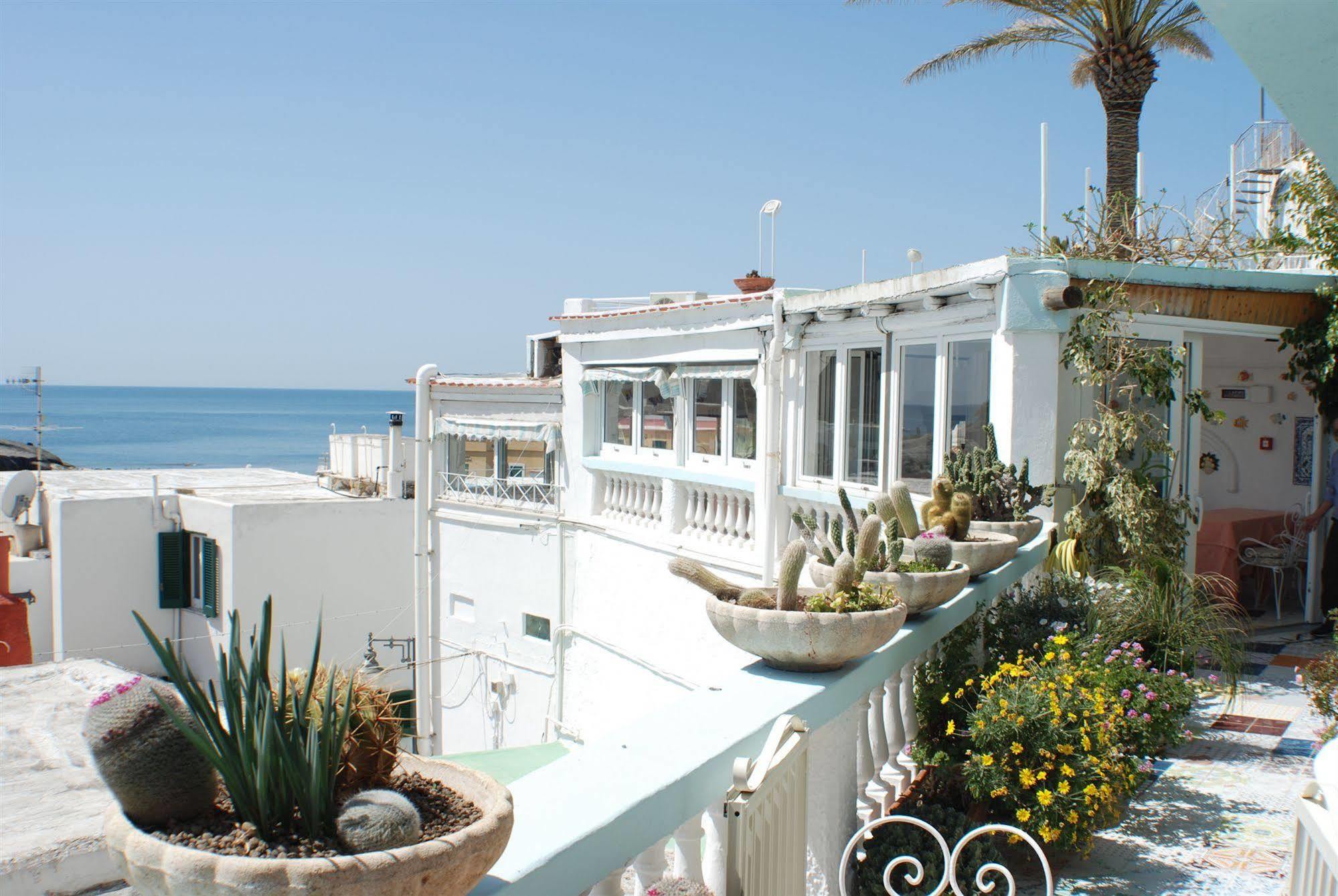 Hotel La Palma Sant'Angelo  Экстерьер фото