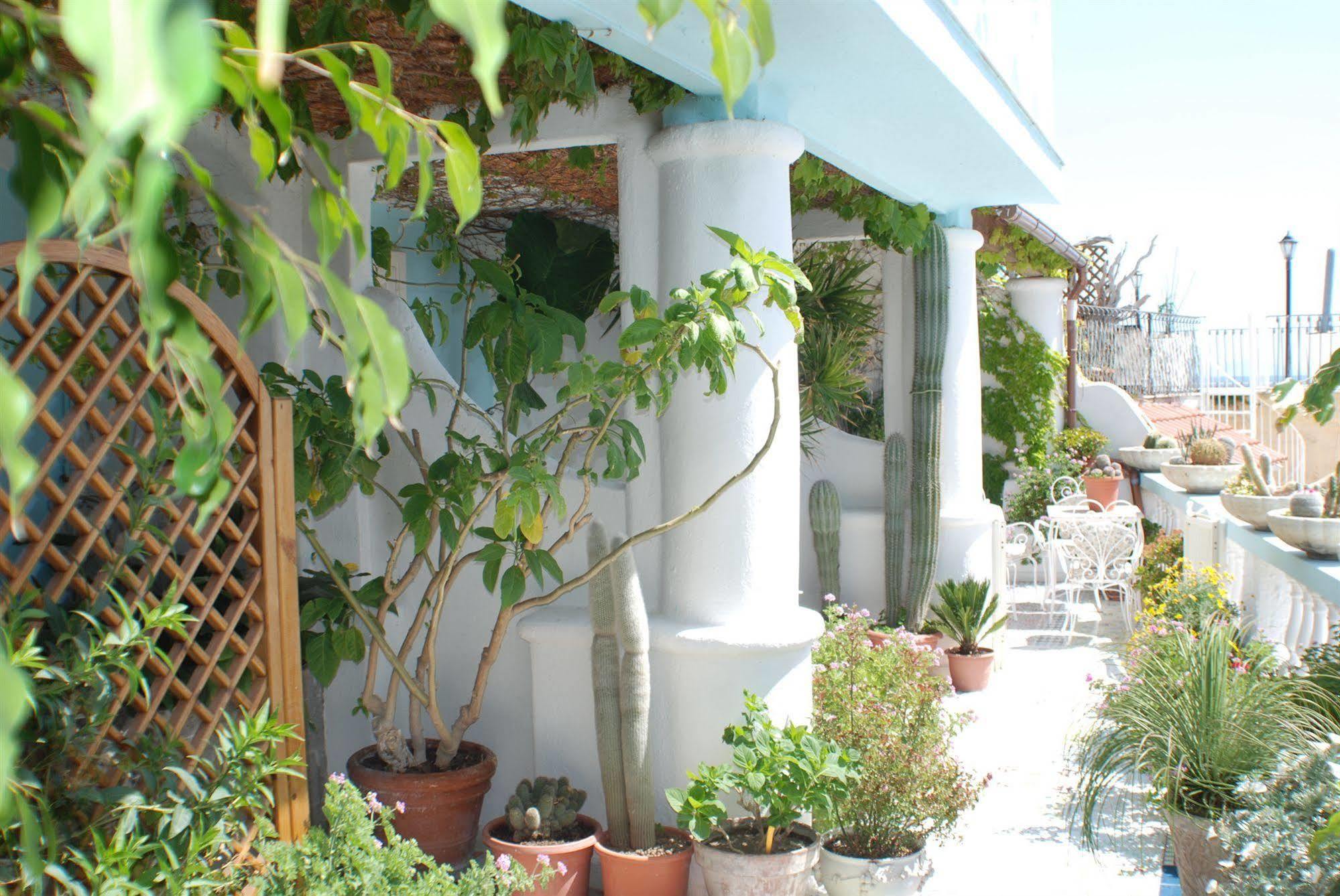 Hotel La Palma Sant'Angelo  Экстерьер фото